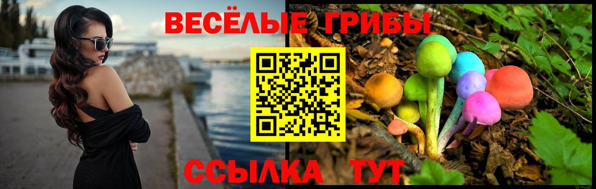 Псилоцибиновые грибы Psilocybe  Вход с VPN  Домодедово 